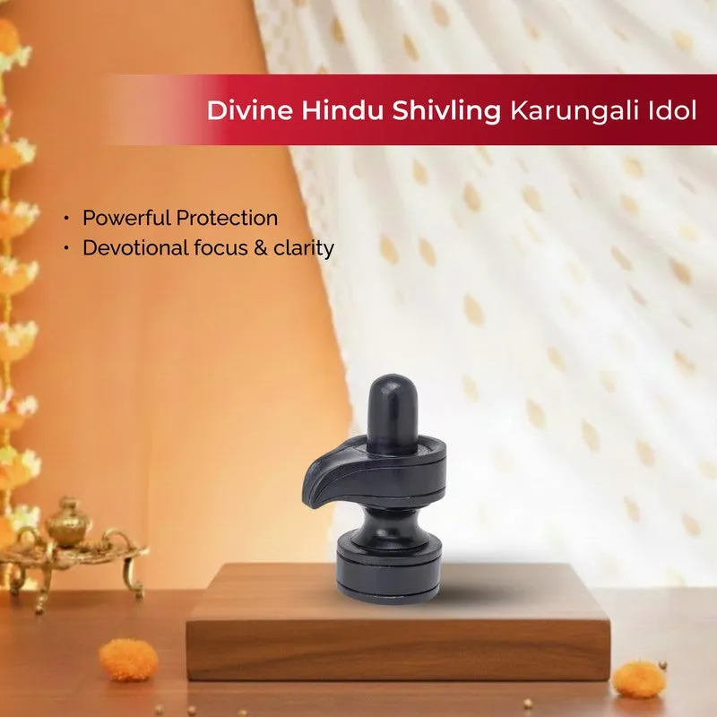 Shivling Ebony Wood Idol media 7
