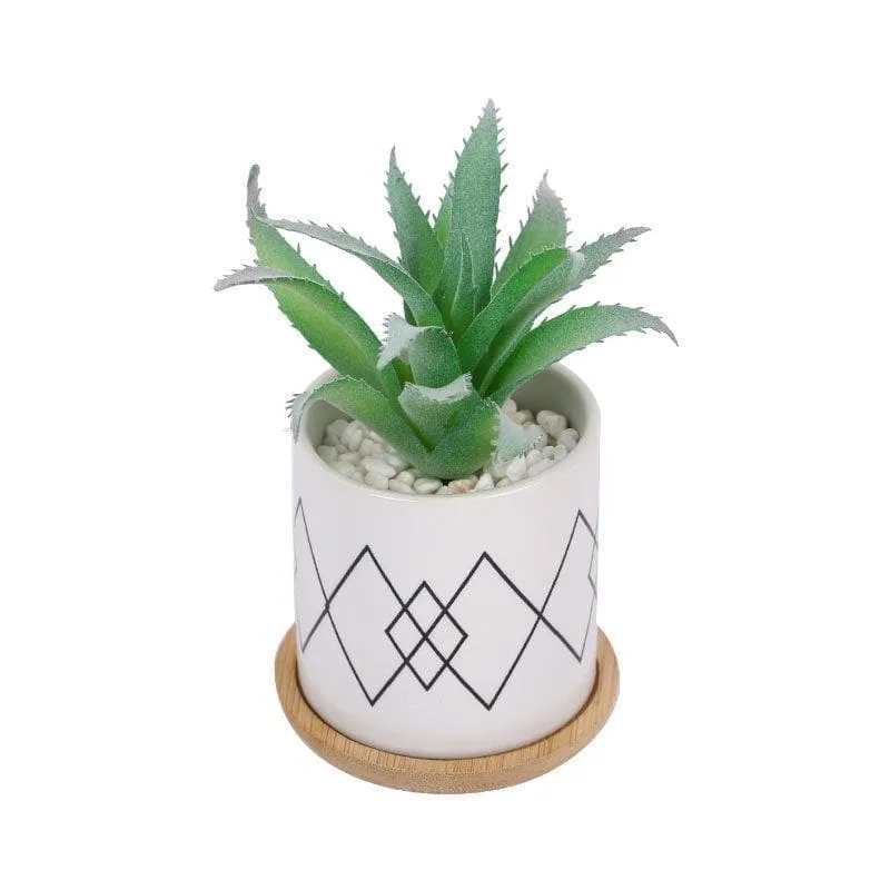 Faux Aloe Vera In Minimalist Pot - 14 cms media 3