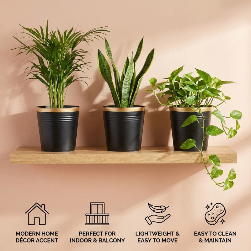 Leafora Iron Planter (Black) - Set Of Three media 8
