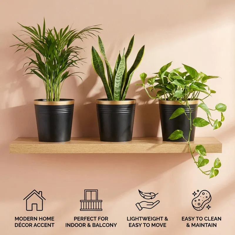 Leafora Iron Planter (Black) - Set Of Three media 8