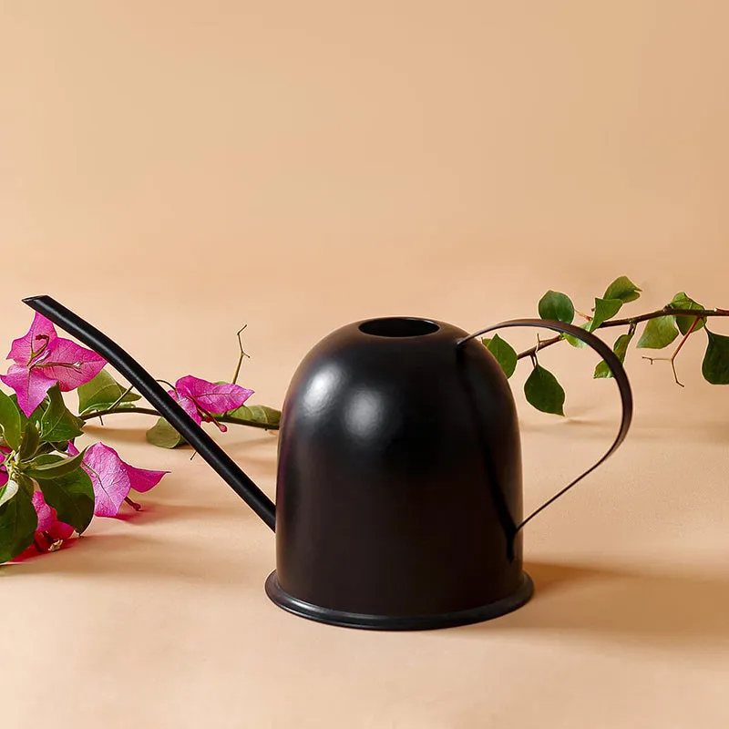 Spry Metal Watering Can media 5