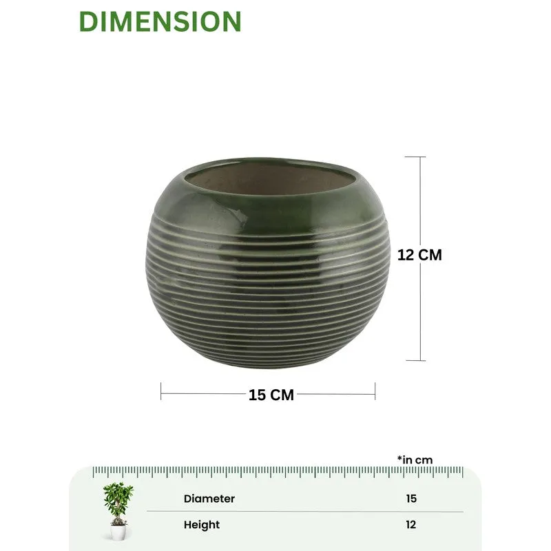 UrbanNest Pots & Planters Green media 9