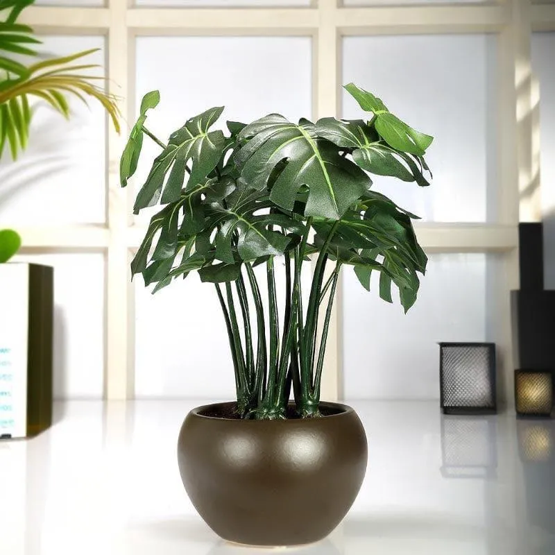 Faux Philodendron Bonsai In Ceramic Pot - 37 cms media 1