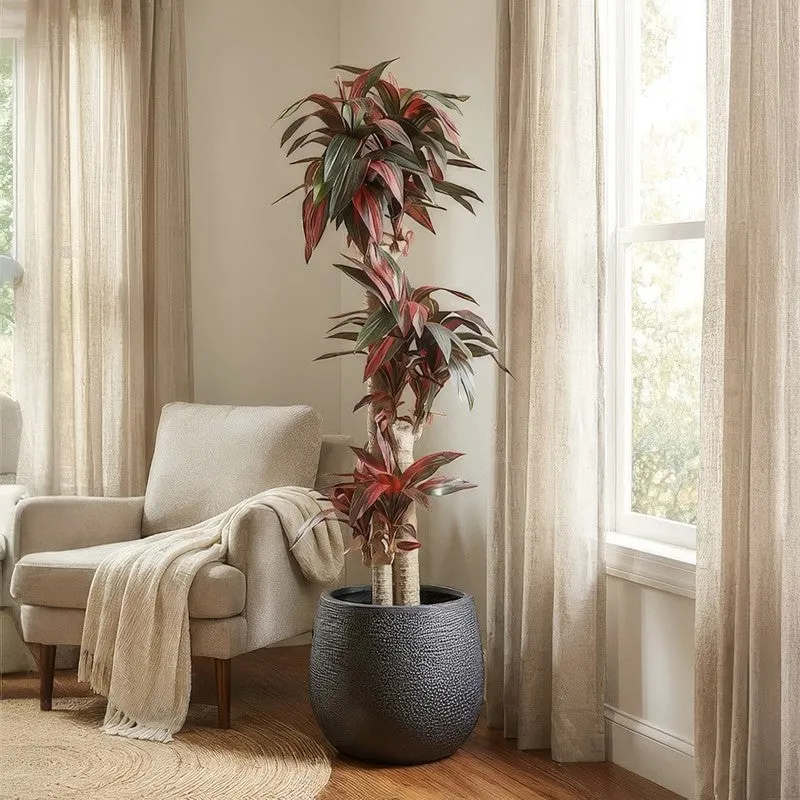 Everloft Artificial Dracaena Green Tree With Black Plastic Pot 5.7 ft media 5