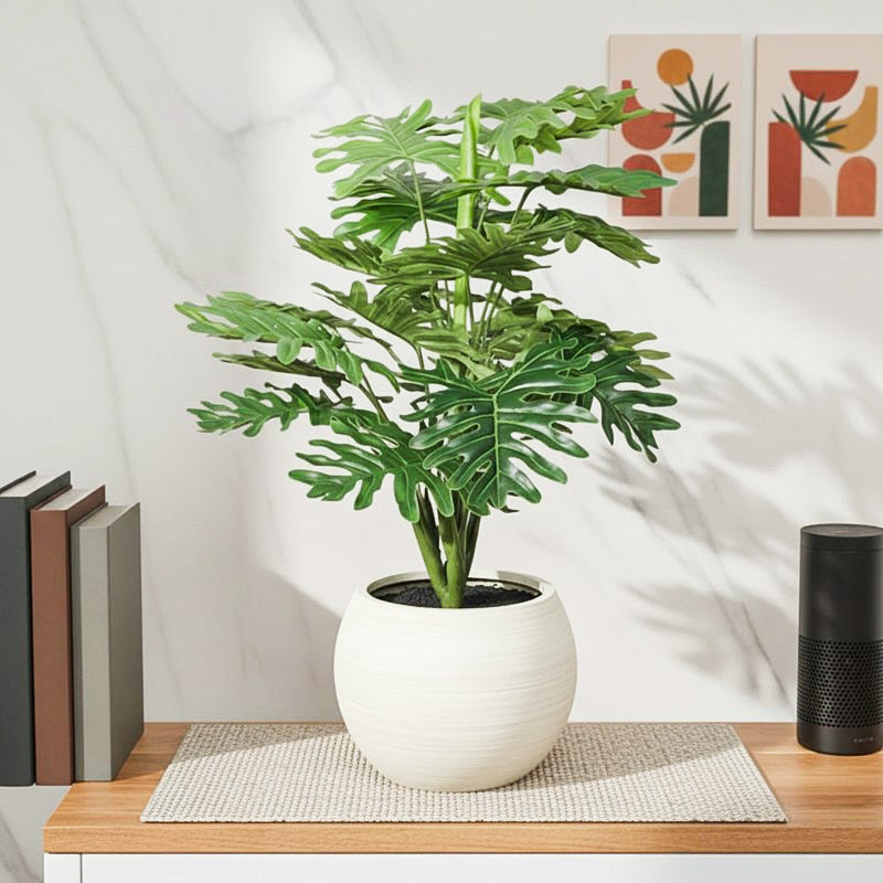 Faux Philodendron Bonsai In Black Plastic Pot - 45 cms