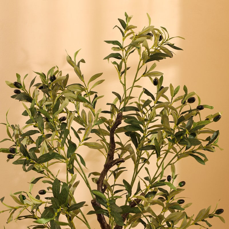 Artificial Olive Plant With Black Plastic Pot - 5 ft media 7