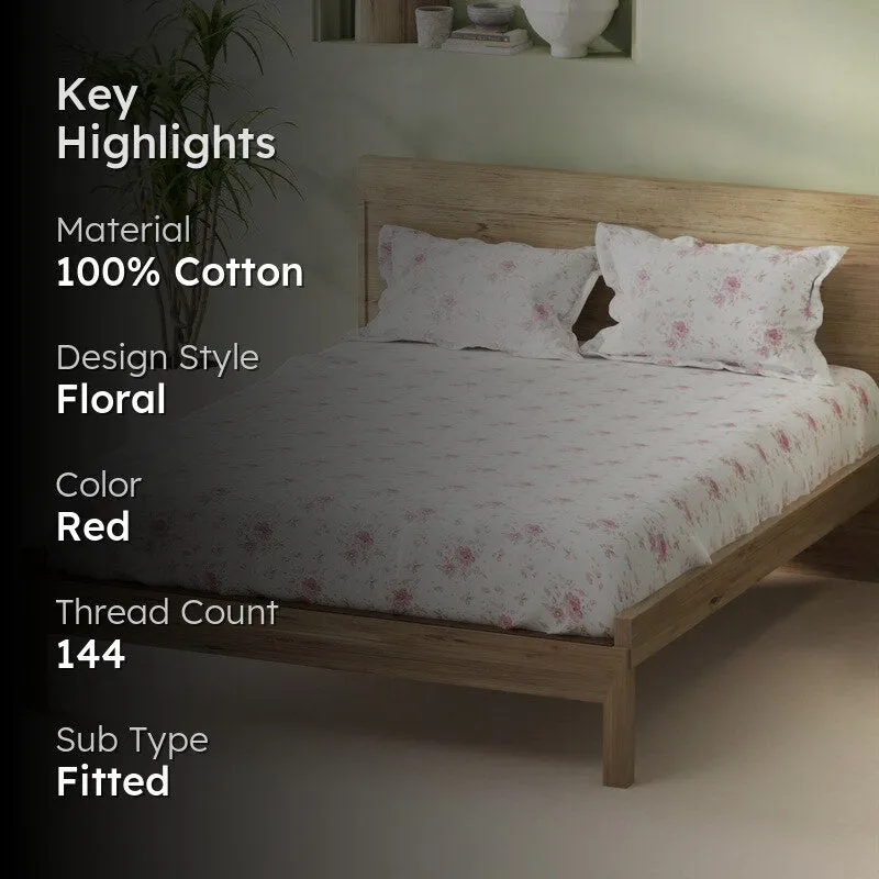 Novira Fitted Cotton Bedsheet (Red) - 144 TC media 2