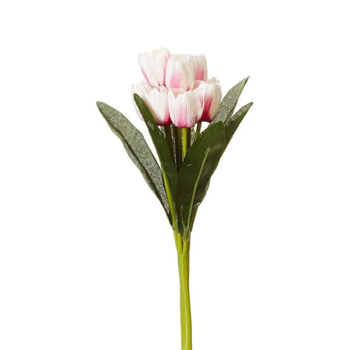 Single white and pink artificial tulip bunch with green leaves on a white background