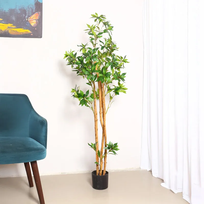 Verdiq Artificial Ruscus With Black Plastic Pot - 5 Feet media 3