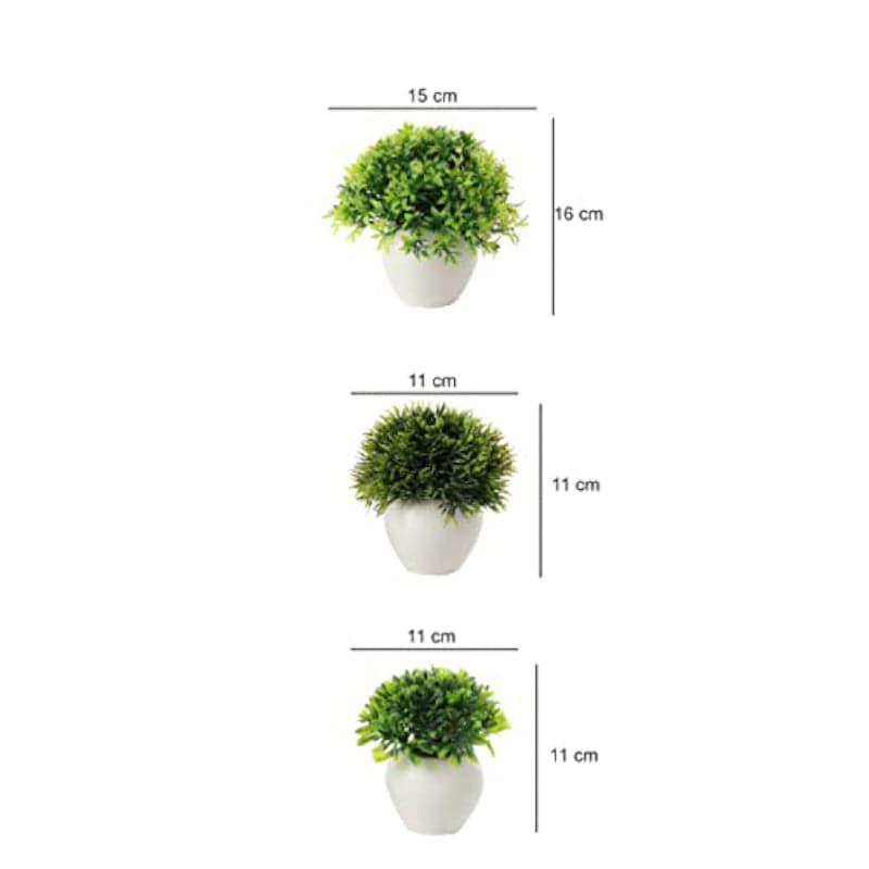 Selo Faux Artificial Plant In Apple Pot (8 cms) - Set Of Three media 4