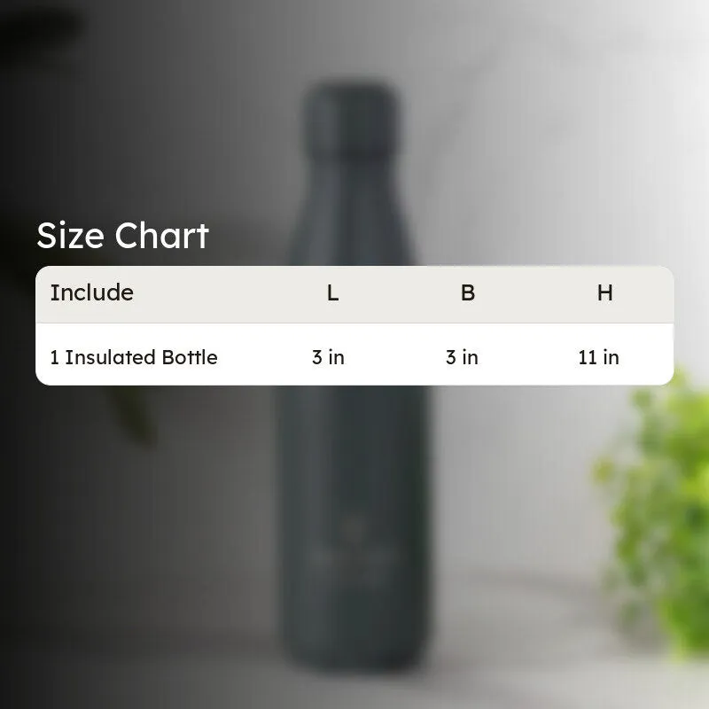 Aqua Zen Bliss Hot & Cold Thermos Water Bottle (Grey) - 500 mL media 4
