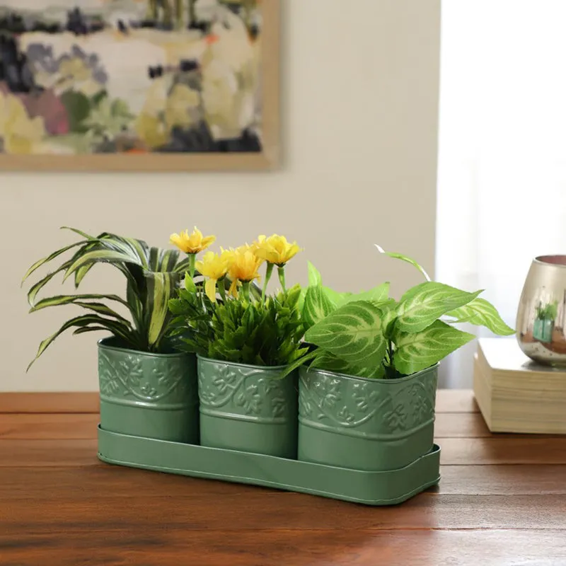 CanopyCup Planters with Tray - Green media 3