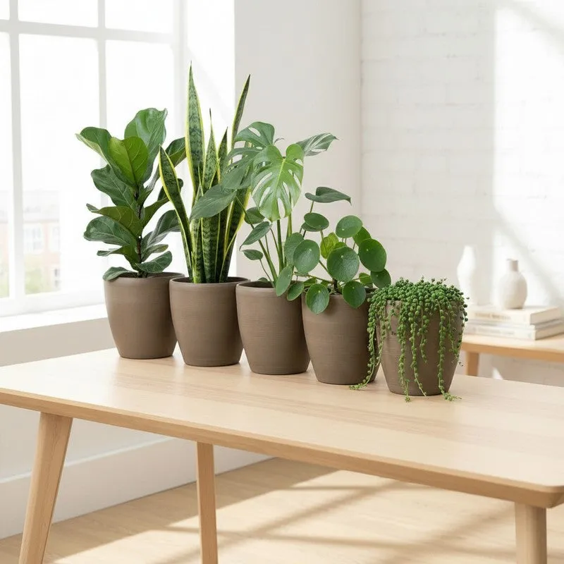 Aria Garden Planter - Set Of Five media 3