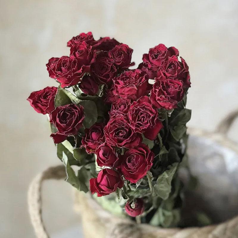 Dried Flowers & Leaves