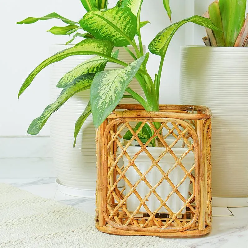 Arvo Handmade Rattan Planter media 1