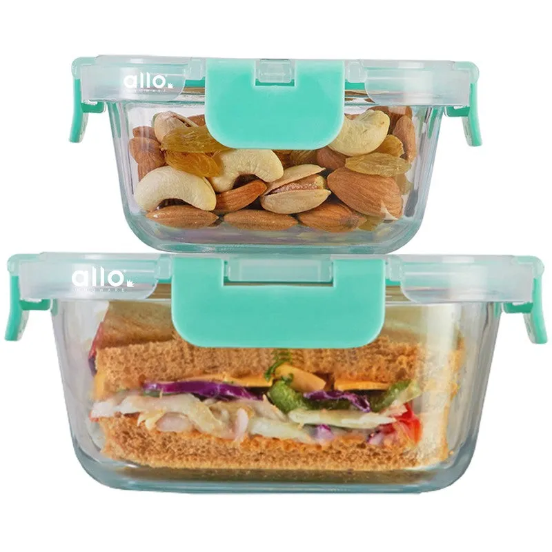 Totoro Leak Proof Glass Lunch Box - Set Of Two media 4