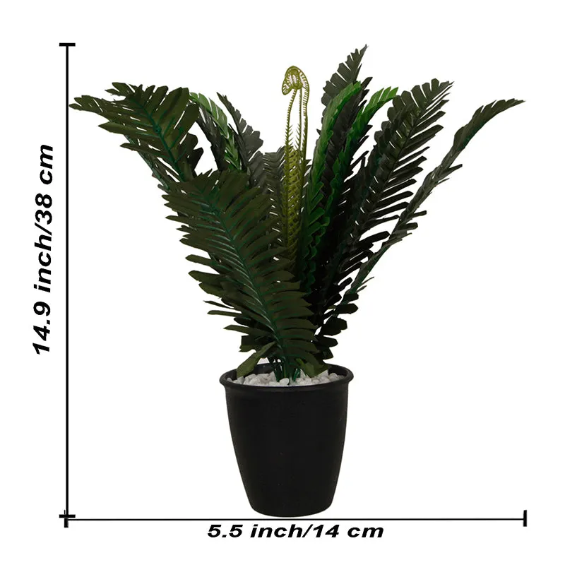 Palma Artificial Plant With Black Plastic Pot - 1.25 Feet media 4