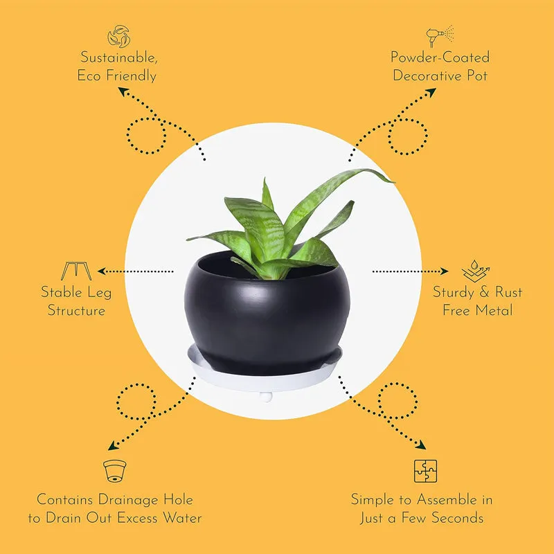 Kyari Starfarer Metal Planter media 3