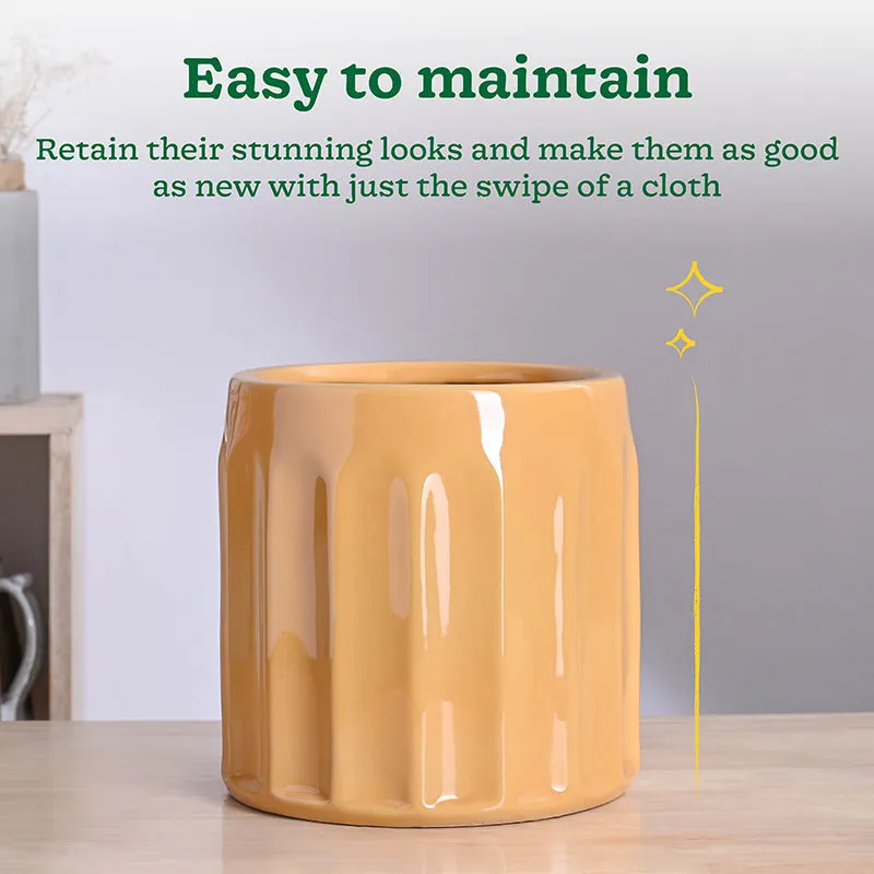 Ugaoo Straits Ceramic Planter - Yellow media 5