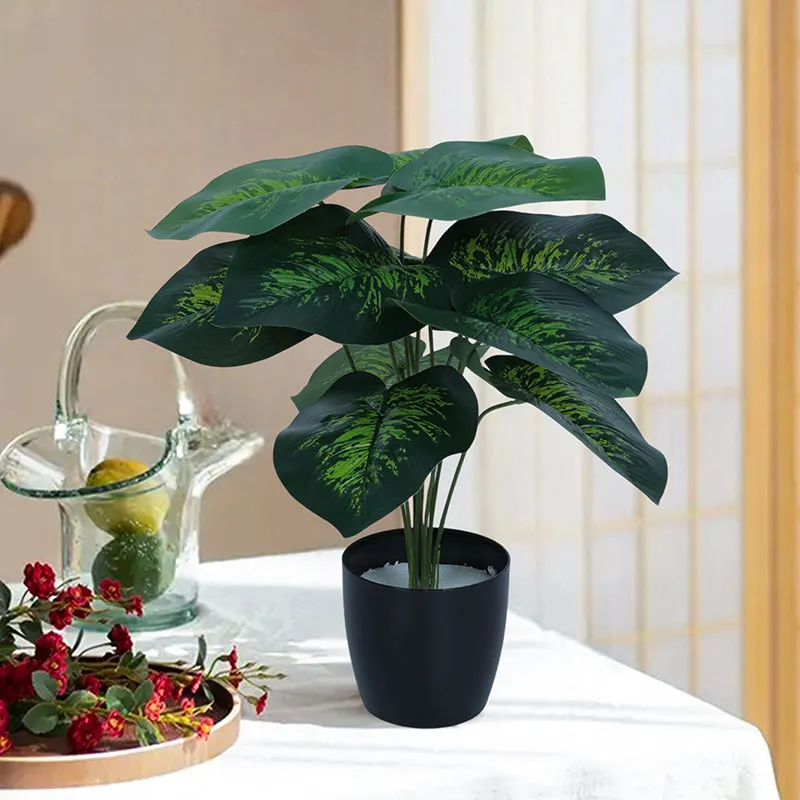 Diora Artificial Green Dieffenbachia With Black Plastic Pot - 1.8 Feet media 2