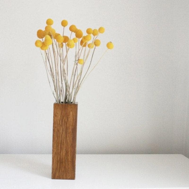 Naturally Dried Billy Pompom Ball Stems - Set Of Ten media 3