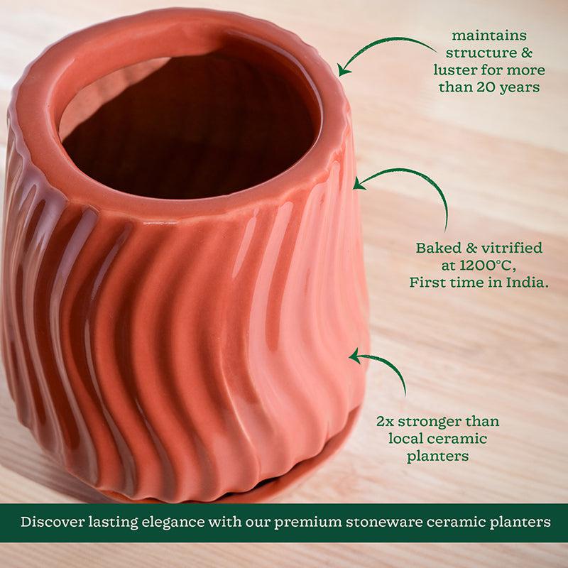 Ugaoo Waves & Roots Ceramic Planter - Coral media 5