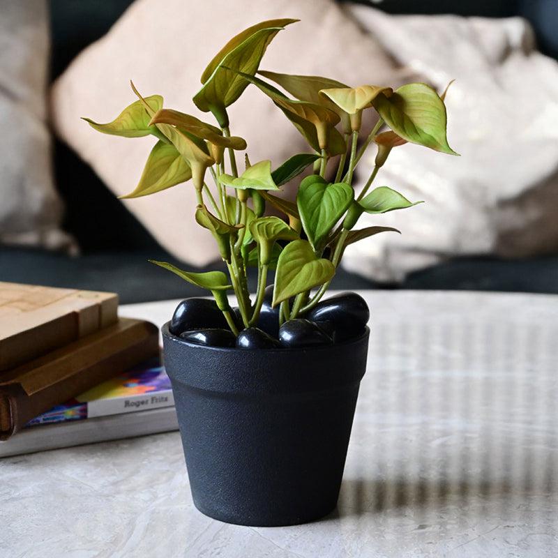 Moniva Artificial Pothos/Money Plant With Black Plastic Pot (Yellow) - 19 cm media 4