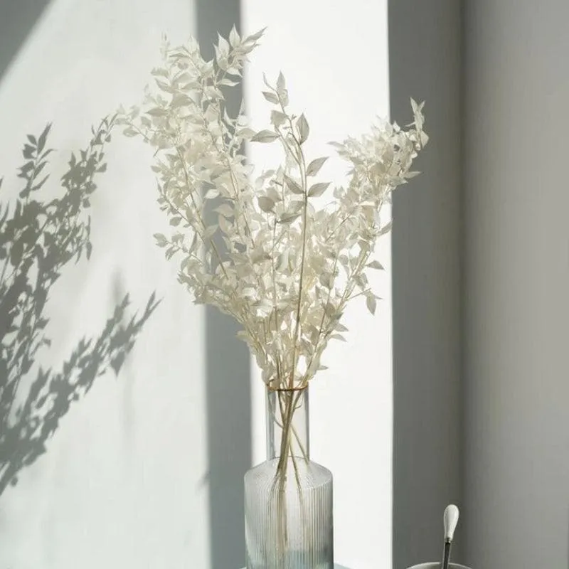 Naturally Dried Ruscus Stems - Set Of Three media 4