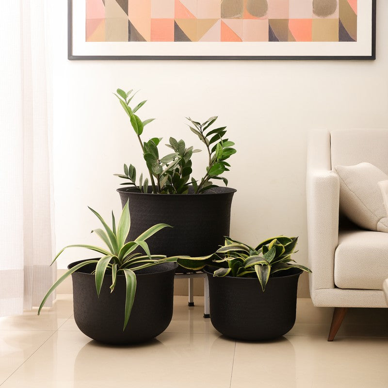 Varnok Iron Planters - Set of Three