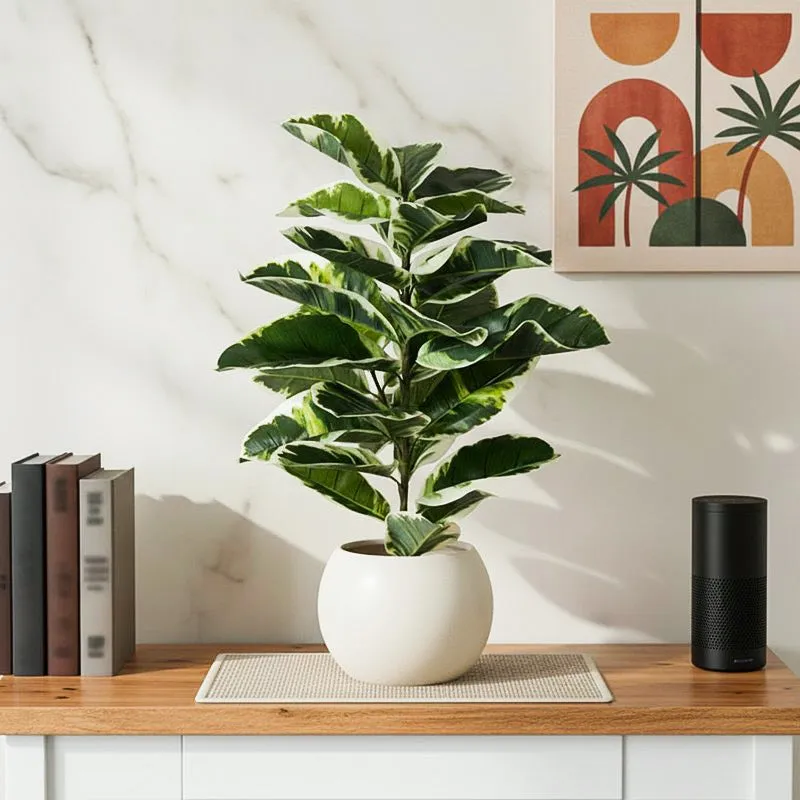 Veridora Artificial Rubber Plant With Black Plastic Pot - 2.5 Feet media 1