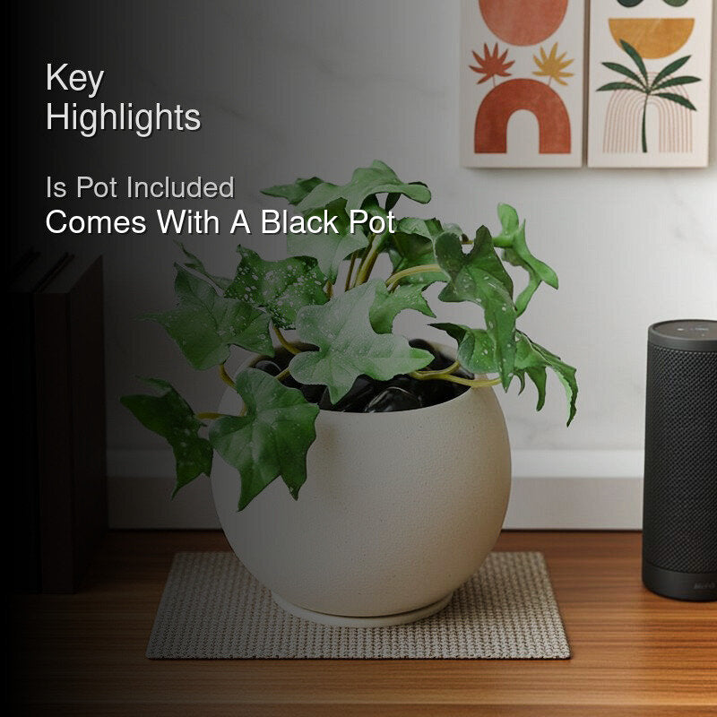 Ivella Artificial Mini Ivy Plant With Basic Black Plastic Pot (Green) - 14 cm media 2