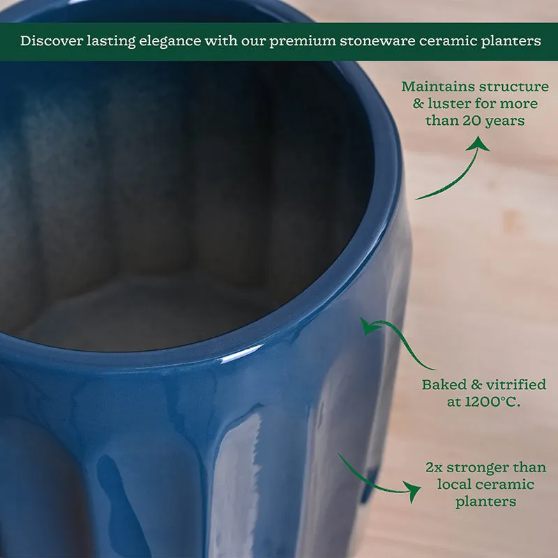 Ugaoo Straits Ceramic Planter - Blue media 5