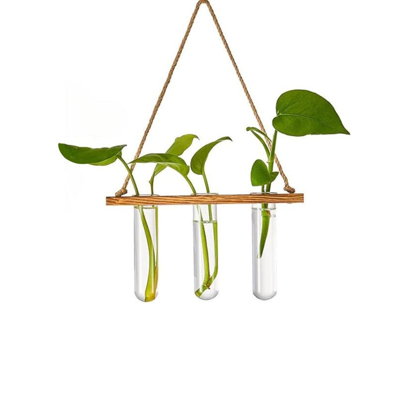 Nava Hanging Test Tube Planter media 3