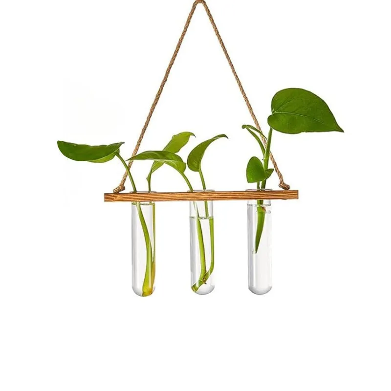 Close view of three clear test tubes suspended from a wooden holder with green cuttings