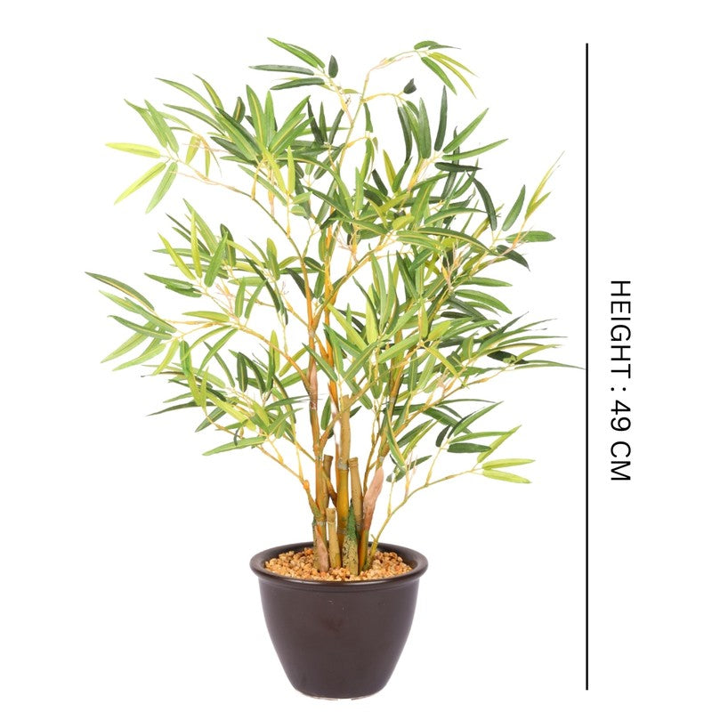 Artificial Bamboo Bonsai Plant With Ceramic Pot (White) - 1.6 Feet media 6