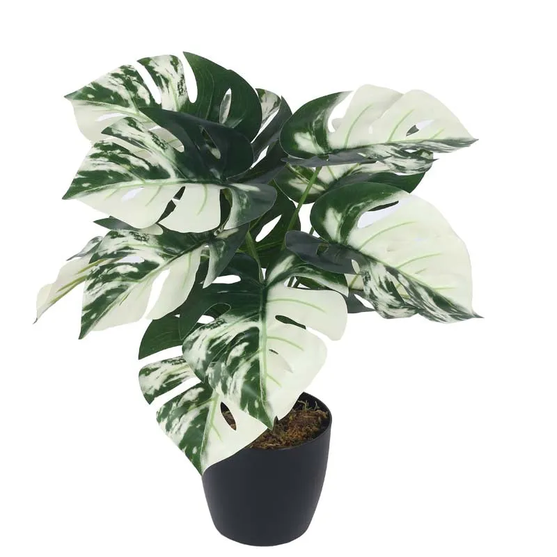 Faux Lush White Monstera Plant With Black Plastic Pot - 1.8 Feet media 4