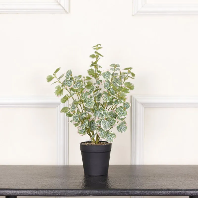 Artificial Geranium Ii Plant With Black Fiber Pot - 1 Feet media 3