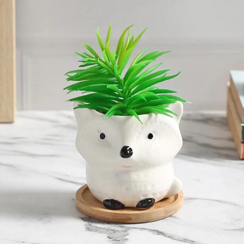 Faux Senecio In Foxy Face Pot - 13 cms media 1