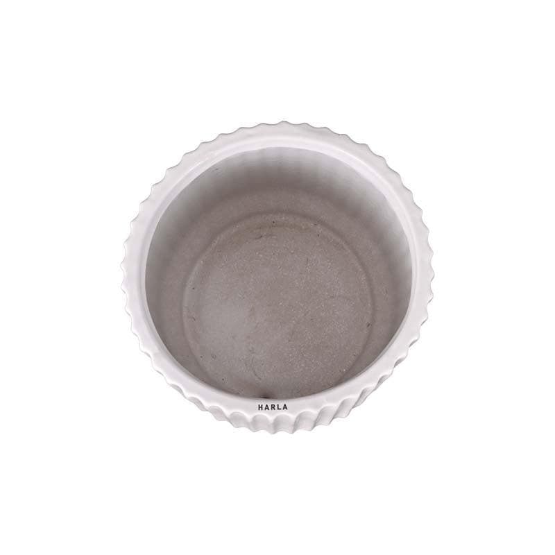 Ugaoo Phoenix White Ceramic Pot media 5