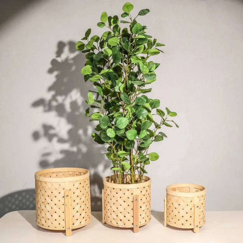 EarthAura Bamboo Planters - Set Of Three media 2