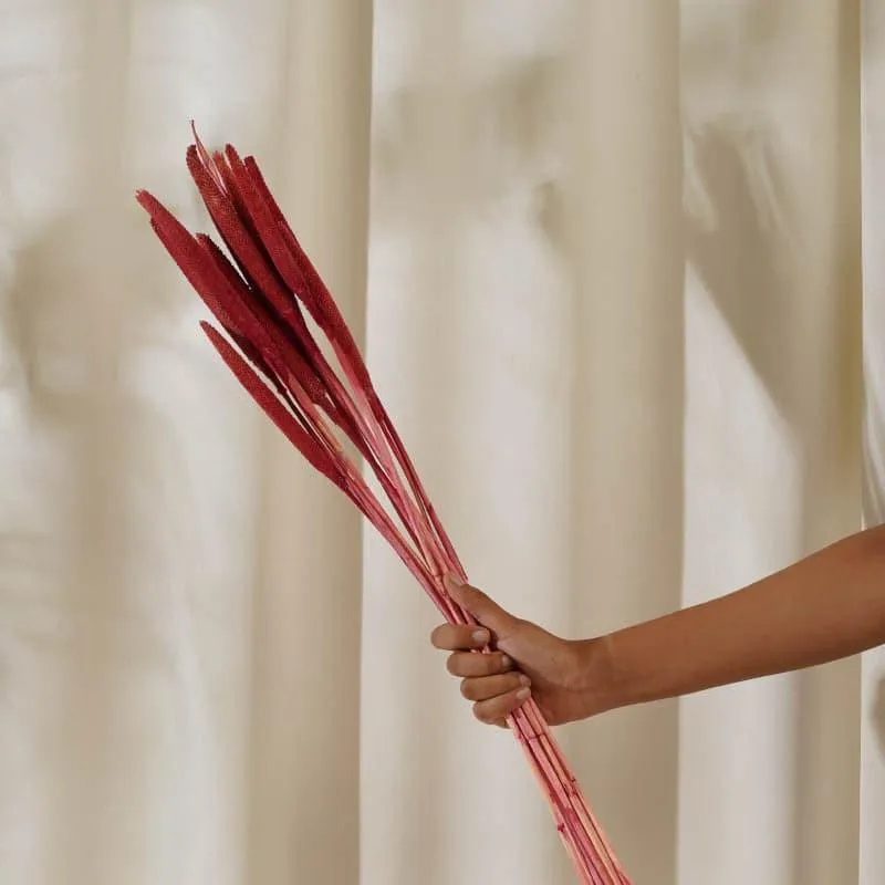 Dried Bajra Stems (2.46 ft) - Red media 3