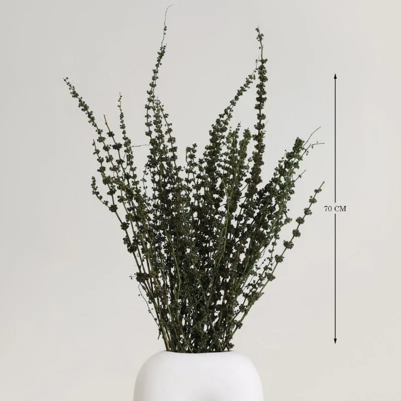 Plato Dried Palm Millet Grass Bunch - Green media 4