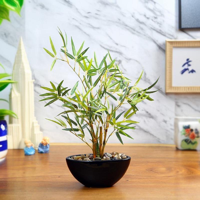 baumwolle bambus wolle CUMBRIA zum frben | Pima Baumwolle, Bambus | Strick, Hkelgarn