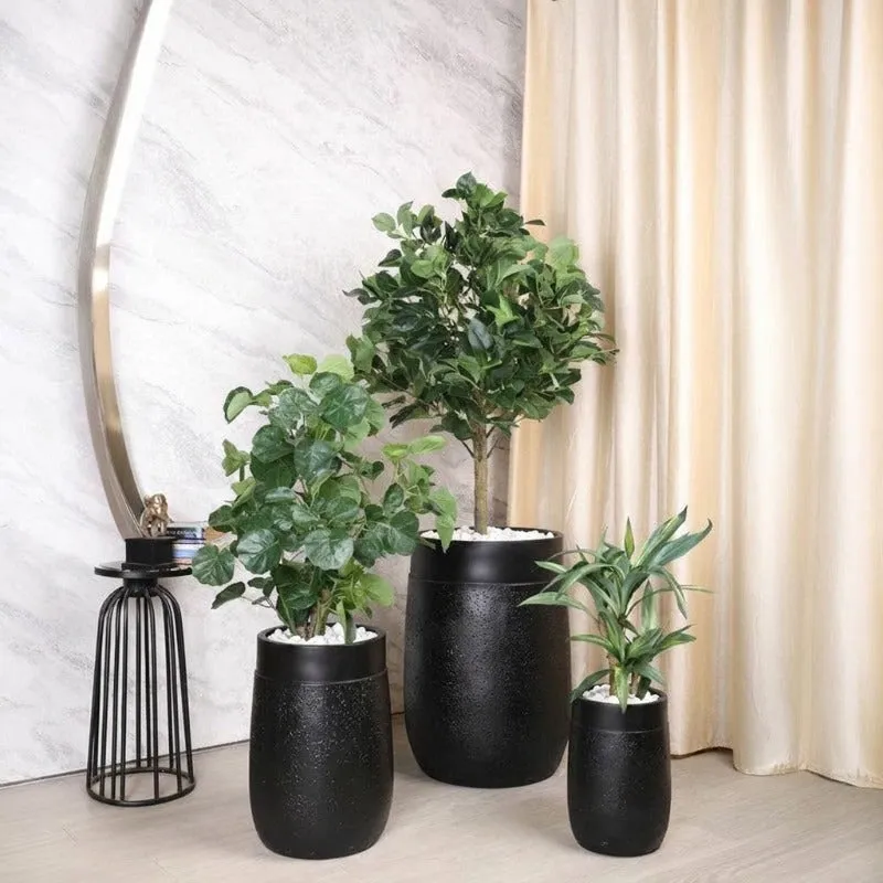 Three black planters in different sizes arranged with indoor plants