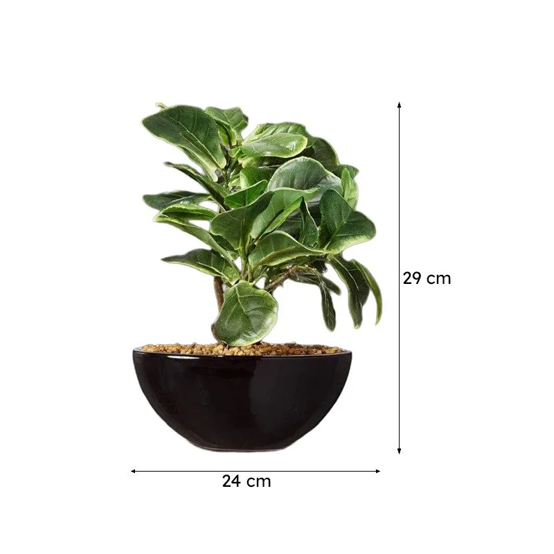 Faux Fiddle Bonsai In Bowl Pot - 29 cms media 5