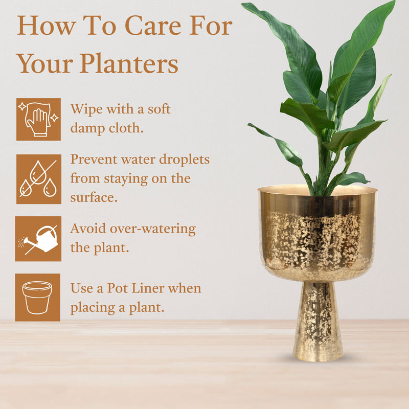Textura Aureme Planter - Set Of Two media 4