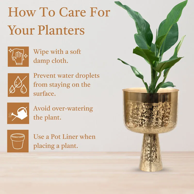 Textura Aureme Planter - Set Of Two media 5
