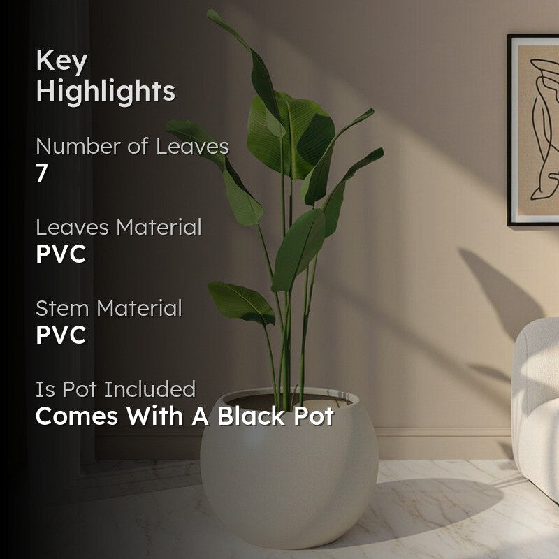 Artificial Calathea Plant With Black Fiber Pot - 5.2 Feet media 2