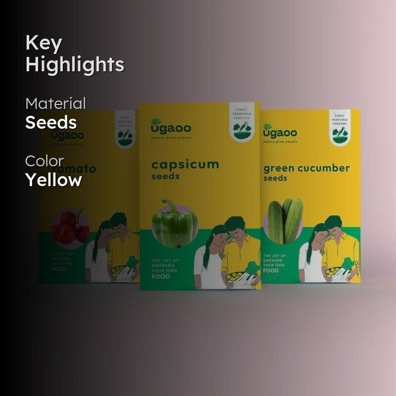 Ugaoo Veges Seeds (Capsicum, Tomato, Green Cucumber) - Set Of Three media 2