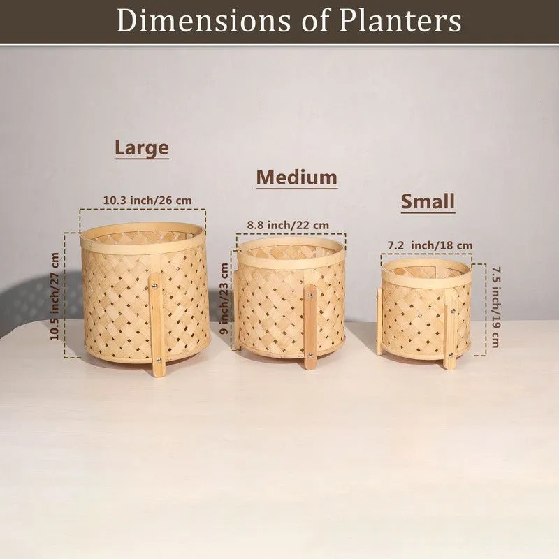 EarthAura Bamboo Planters - Set Of Three media 6